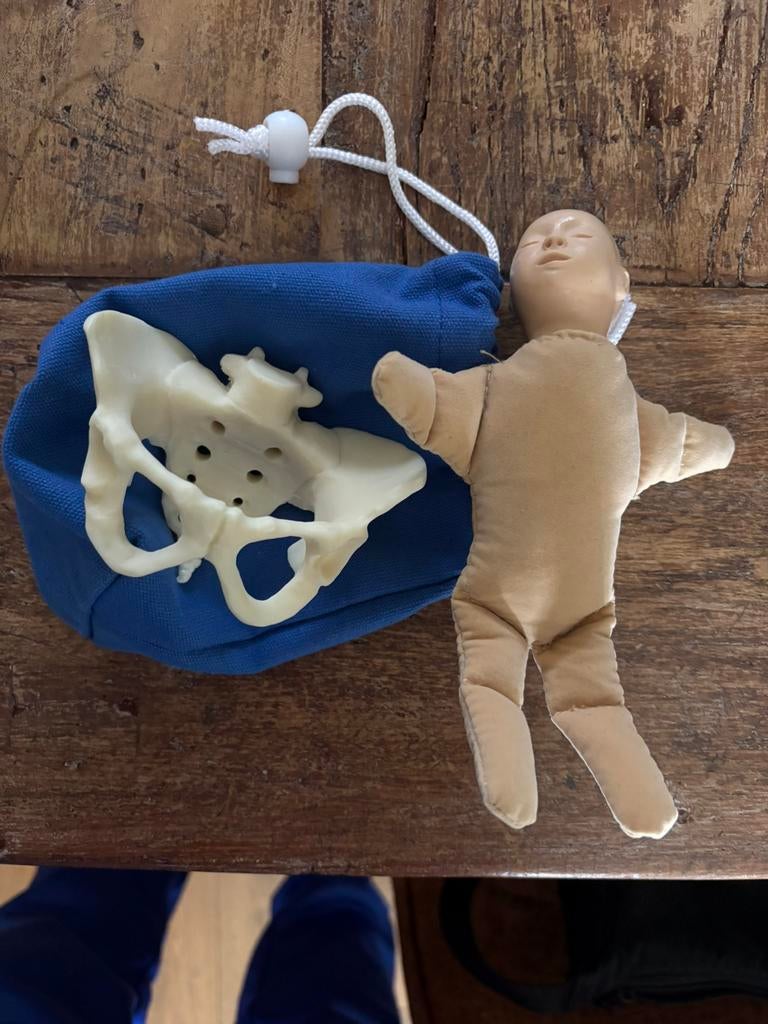 Miniatuur Bekken + Foetus, Ophalen of Verzenden, Zo goed als nieuw