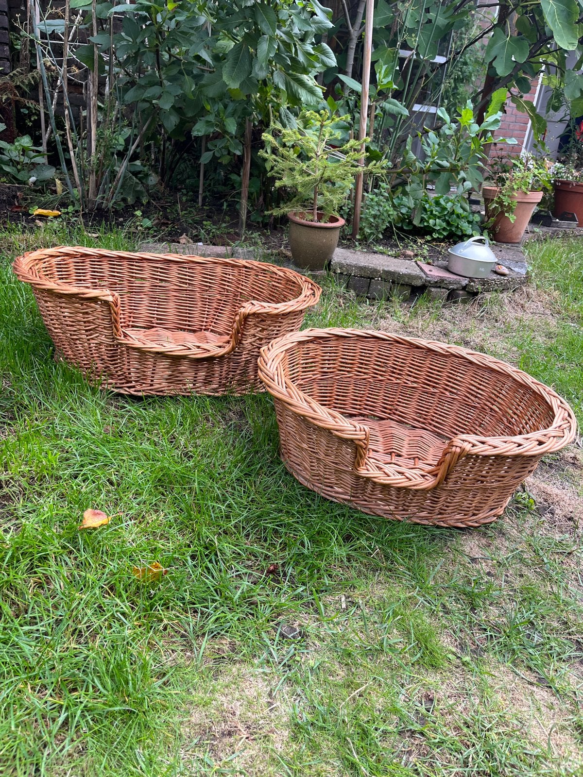 Twee rotan hondenmanden 50 en 60 cm, Dieren en Toebehoren, Ophalen, Gebruikt, Riet