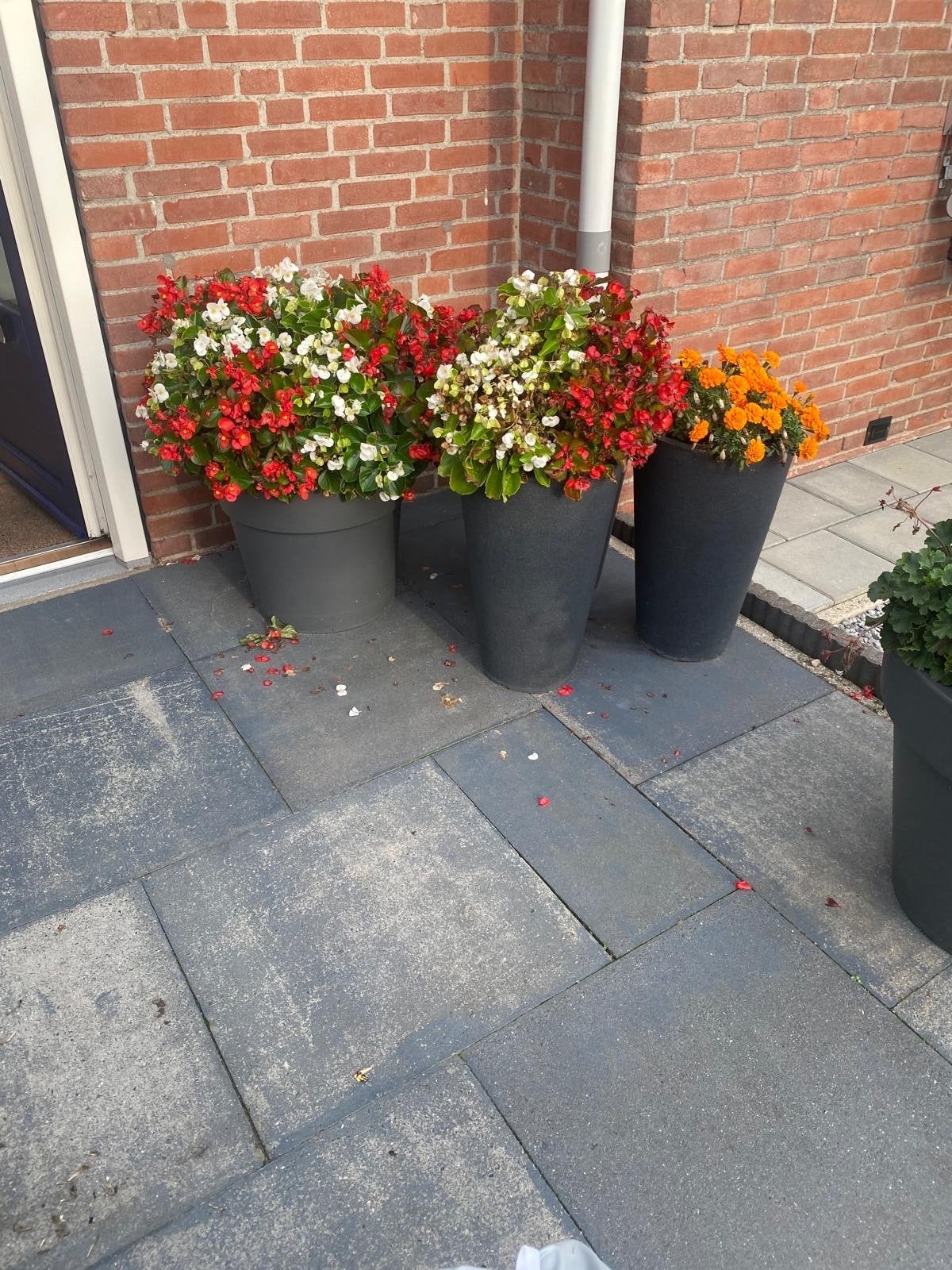 Set van 3 bloempotten, Kunststof, Gebruikt, Balkon, Rond