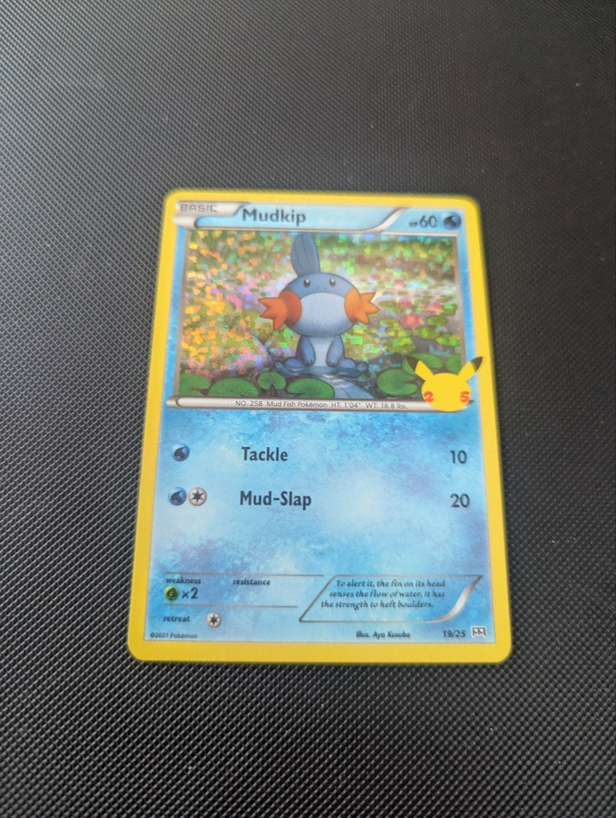 Mudkip [Holo] #19 Pokemon McDonalds 2021 fresh uit pack, Ophalen, Nieuw