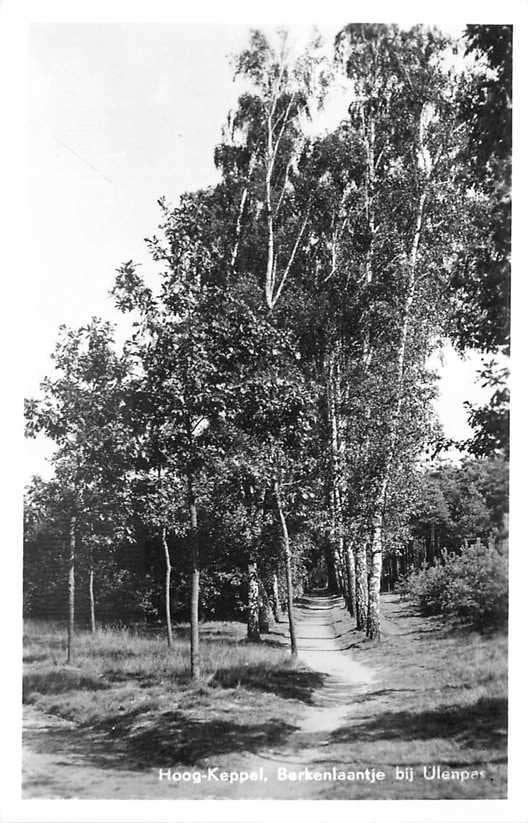 380-333-029 Hoog Keppel  Berkenlaantje Ulenpas, Verzenden, Voor 1920, Gelderland