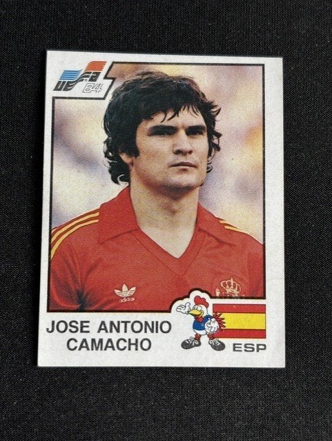 Panini Euro 84 nr. 219, Verzamelen, Sportartikelen en Voetbal, Verzenden, Zo goed als nieuw, Buitenlandse clubs, Poster, Plaatje of Sticker
