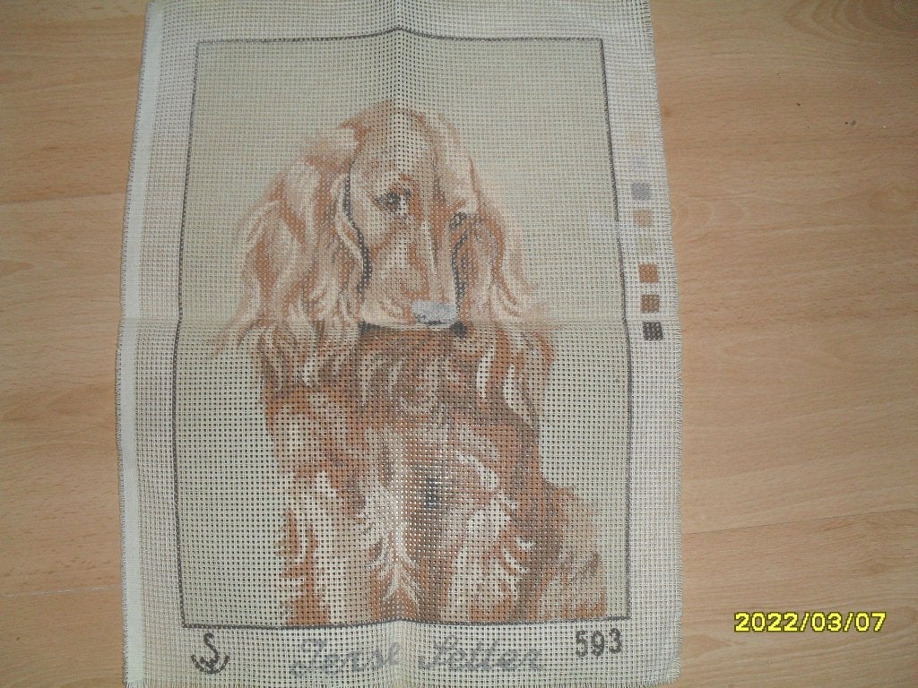 NIEUW Voorbedrukt stramien Ierse Setter. Verkoop DMC garens, Ophalen of Verzenden, Nieuw, Handborduren, Onderdeel of Toebehoren