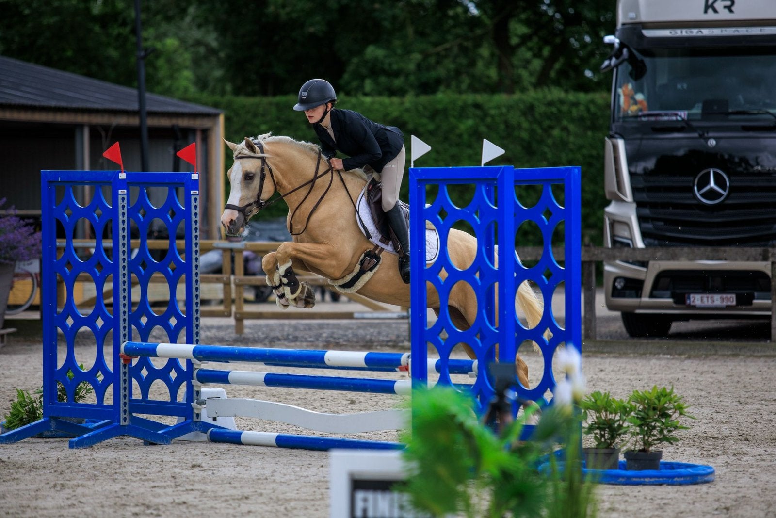 Prachtige 4 jarige NRPS merrie, Merrie, Met stamboom, 3 tot 6 jaar, L