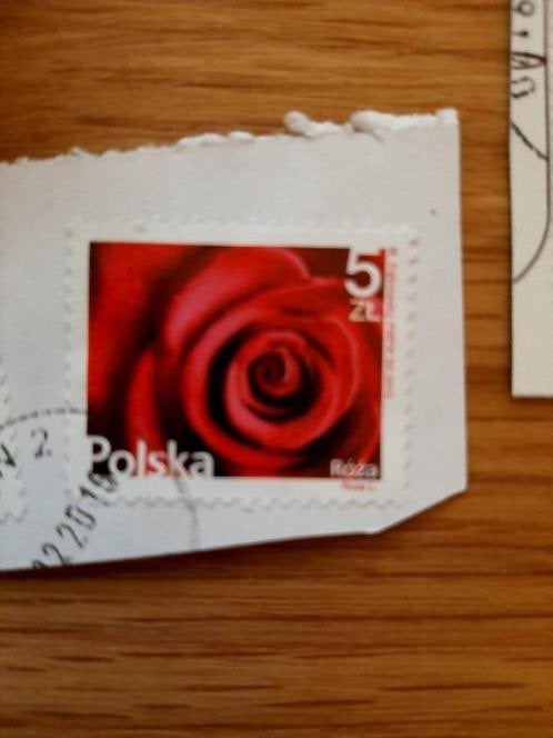 Polen bloem roos, Verzenden, Polen, Gestempeld
