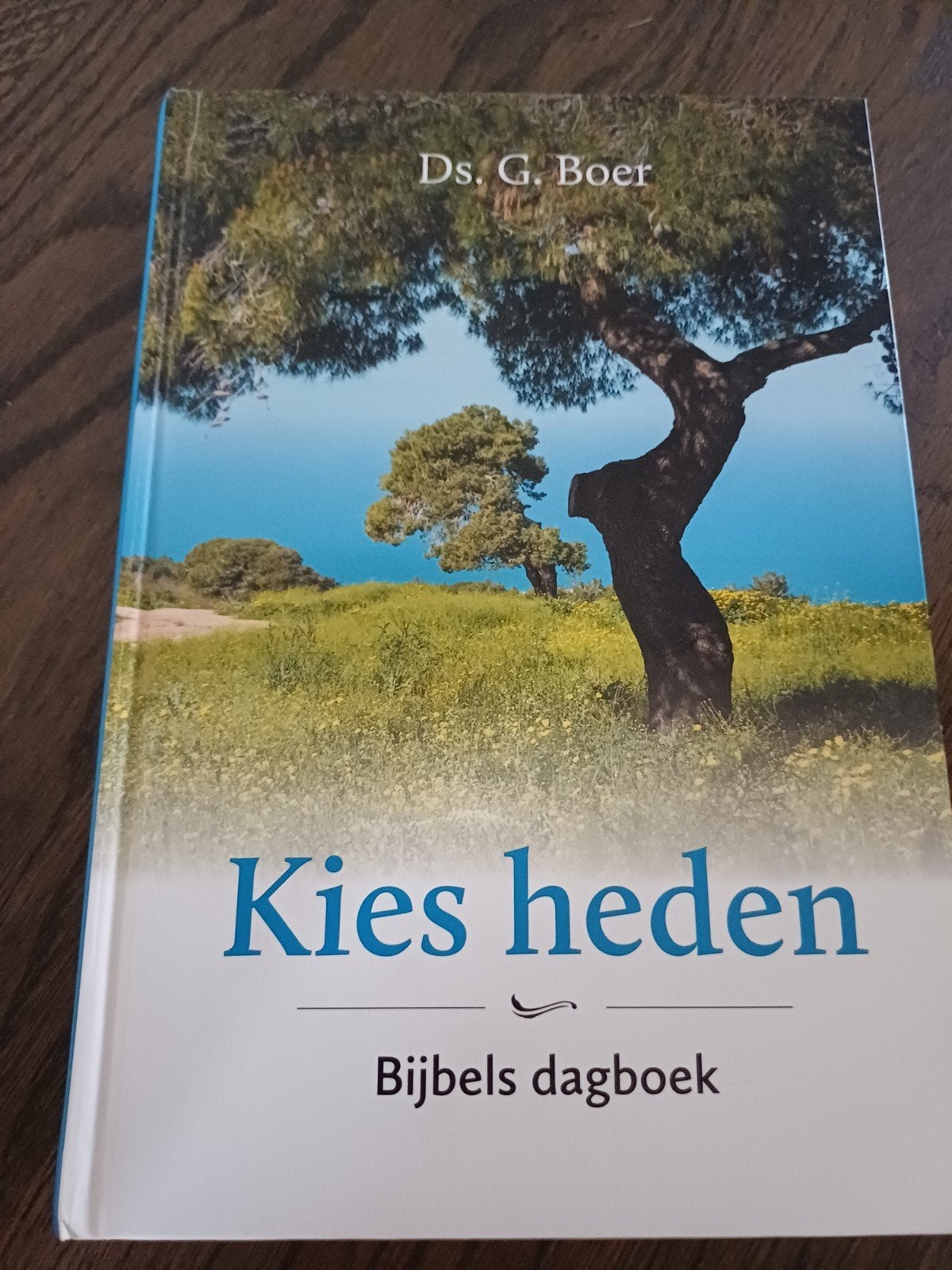 Kies heden - Bijbels dagboek door Ds. G. Boer, Ophalen of Verzenden, Zo goed als nieuw, Christendom | Protestants