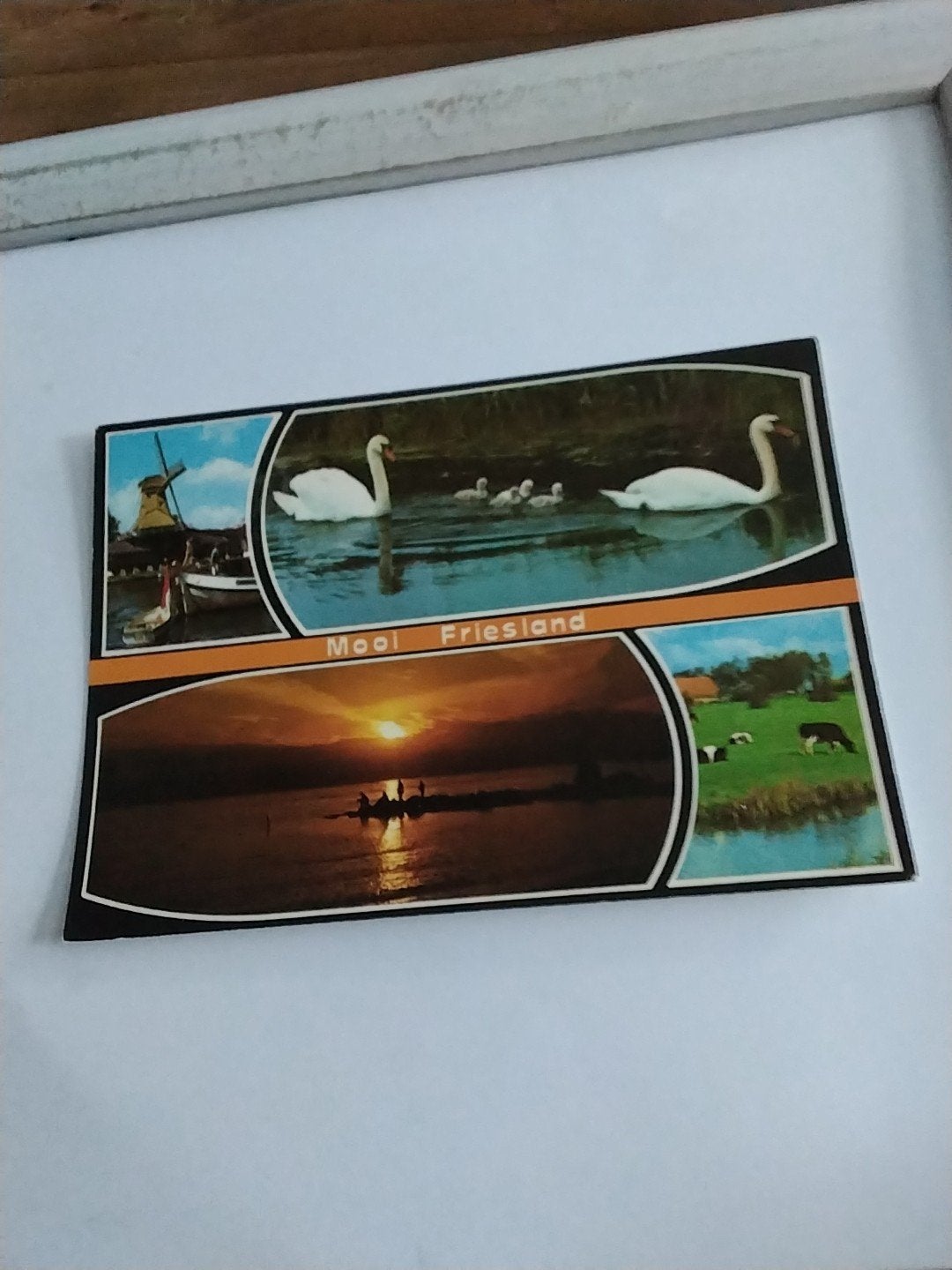 MOOI FRIESLAND. 1984.  ZWANEN, Ophalen of Verzenden, 1980 tot heden, Friesland
