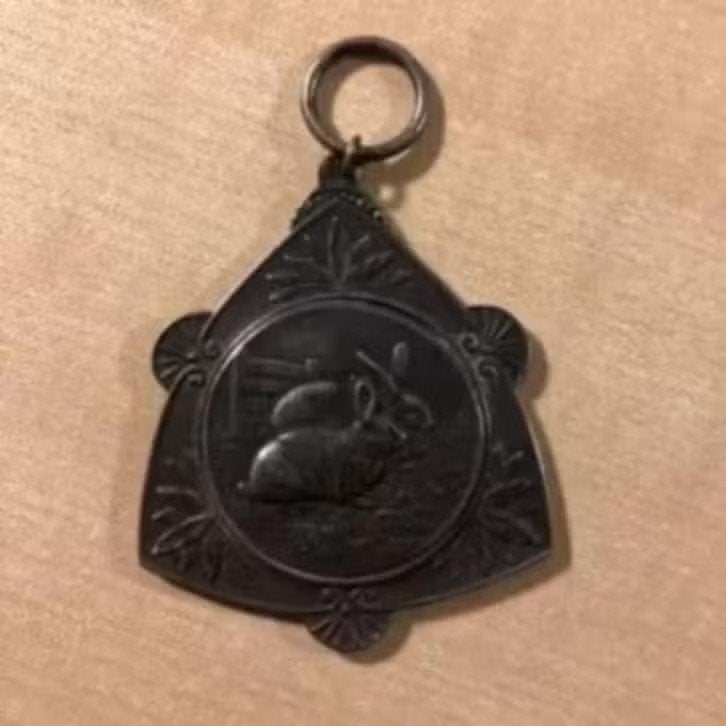 Gramsbergen Medaille Penning Veekeuring Konijnen 1943., Ophalen of Verzenden, Zo goed als nieuw