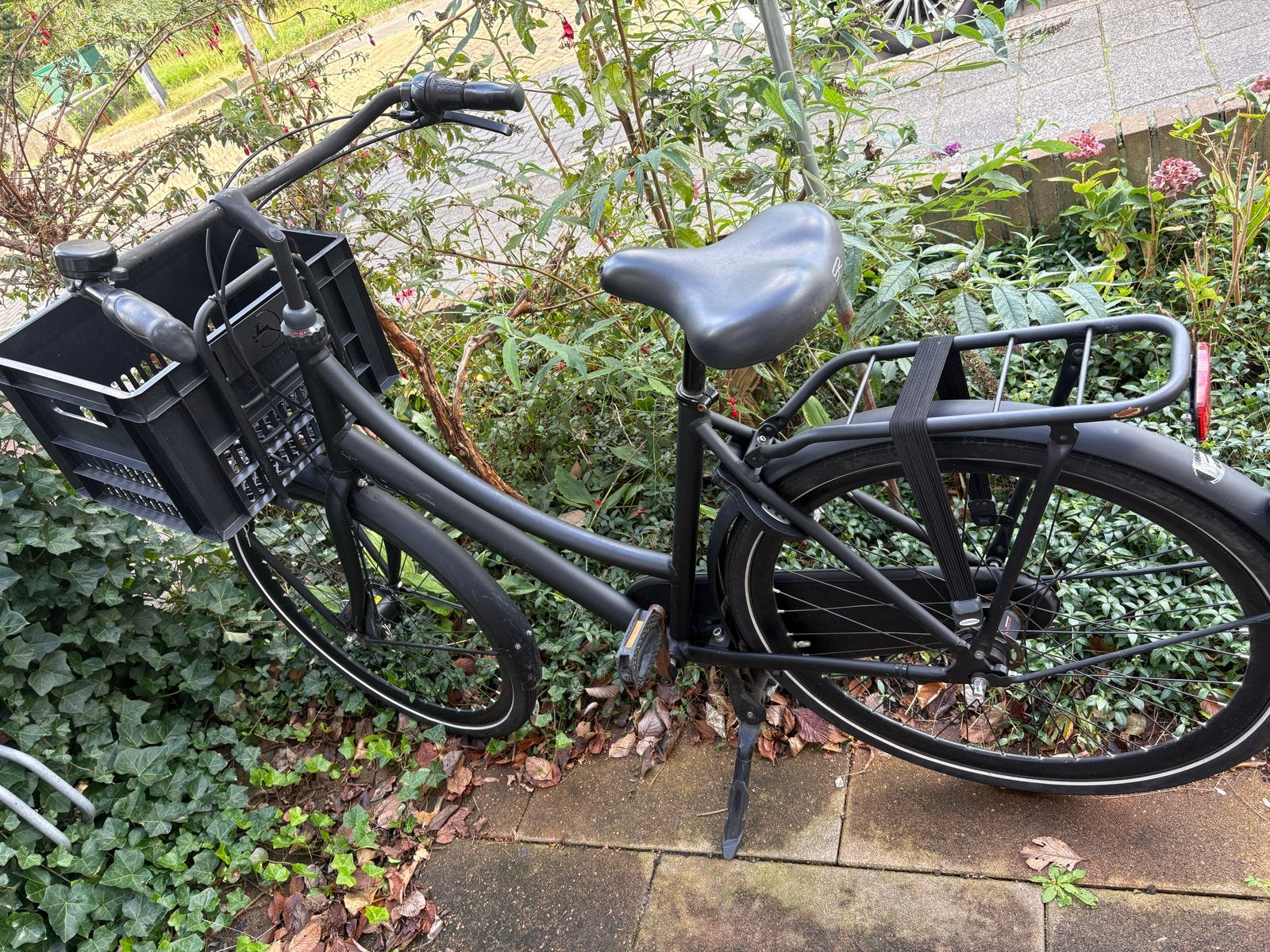 Gazelle Transporter Damesfiets - Ideaal voor dagelijks gebru, Ophalen, Versnellingen, Gazelle, Trommelrem