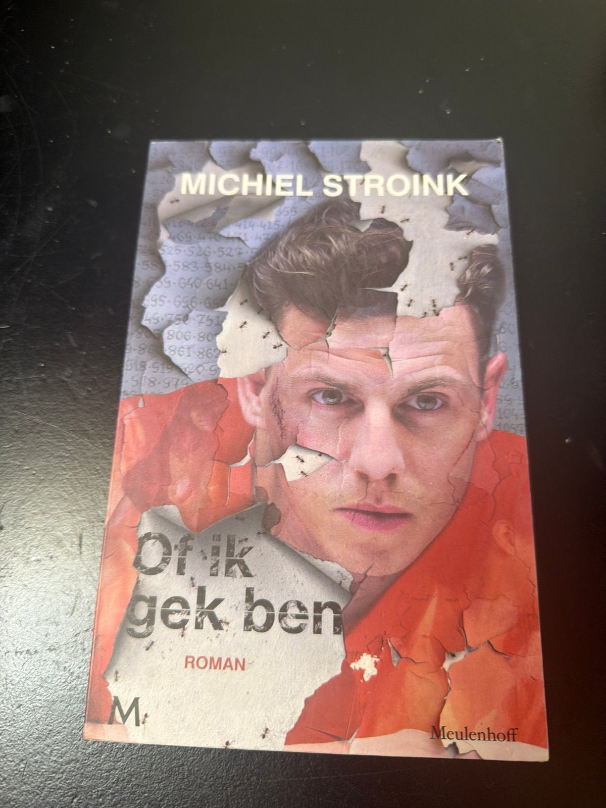 Michiel Stroink - Of ik gek ben (Roman), Ophalen of Verzenden, Gelezen, Nederland