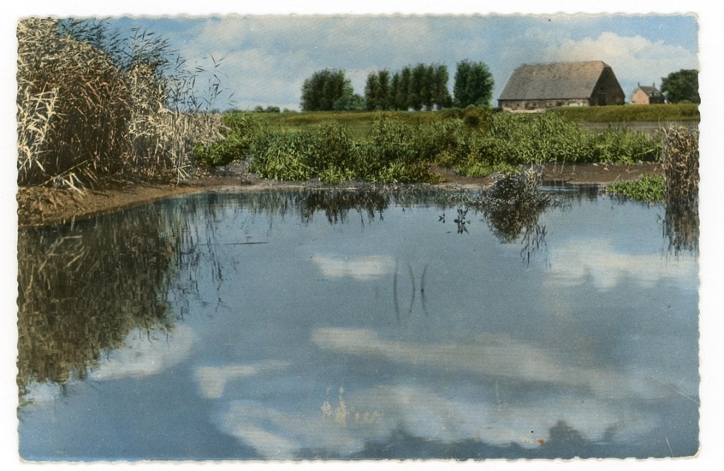 Biesbosch, Verzenden, 1940 tot 1960, Gelopen, Noord-Brabant