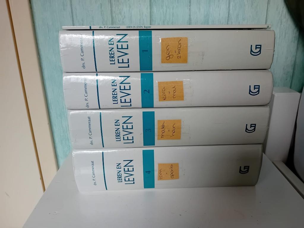 Leren en leven van P. Cammeraat, Boeken, Godsdienst en Theologie, Gelezen, Christendom | Protestants, Ophalen of Verzenden, P. Cammeraat