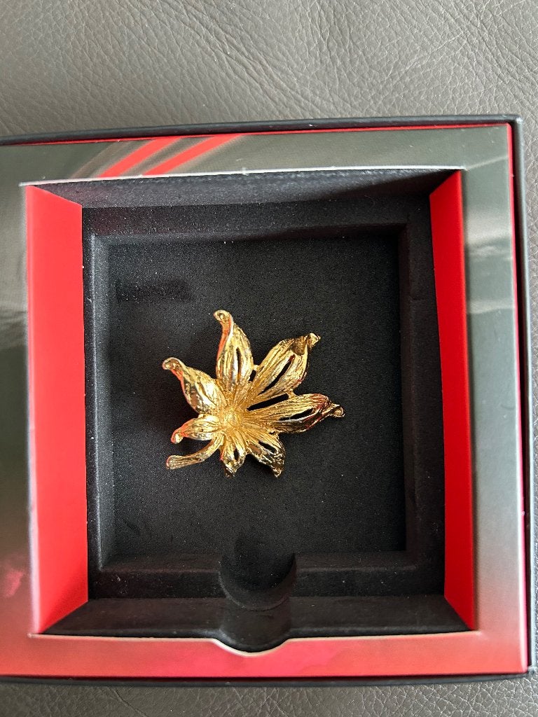 Antieke broche edelweiss, Overige materialen, Gebruikt, Minder dan 4 cm, Ophalen of Verzenden