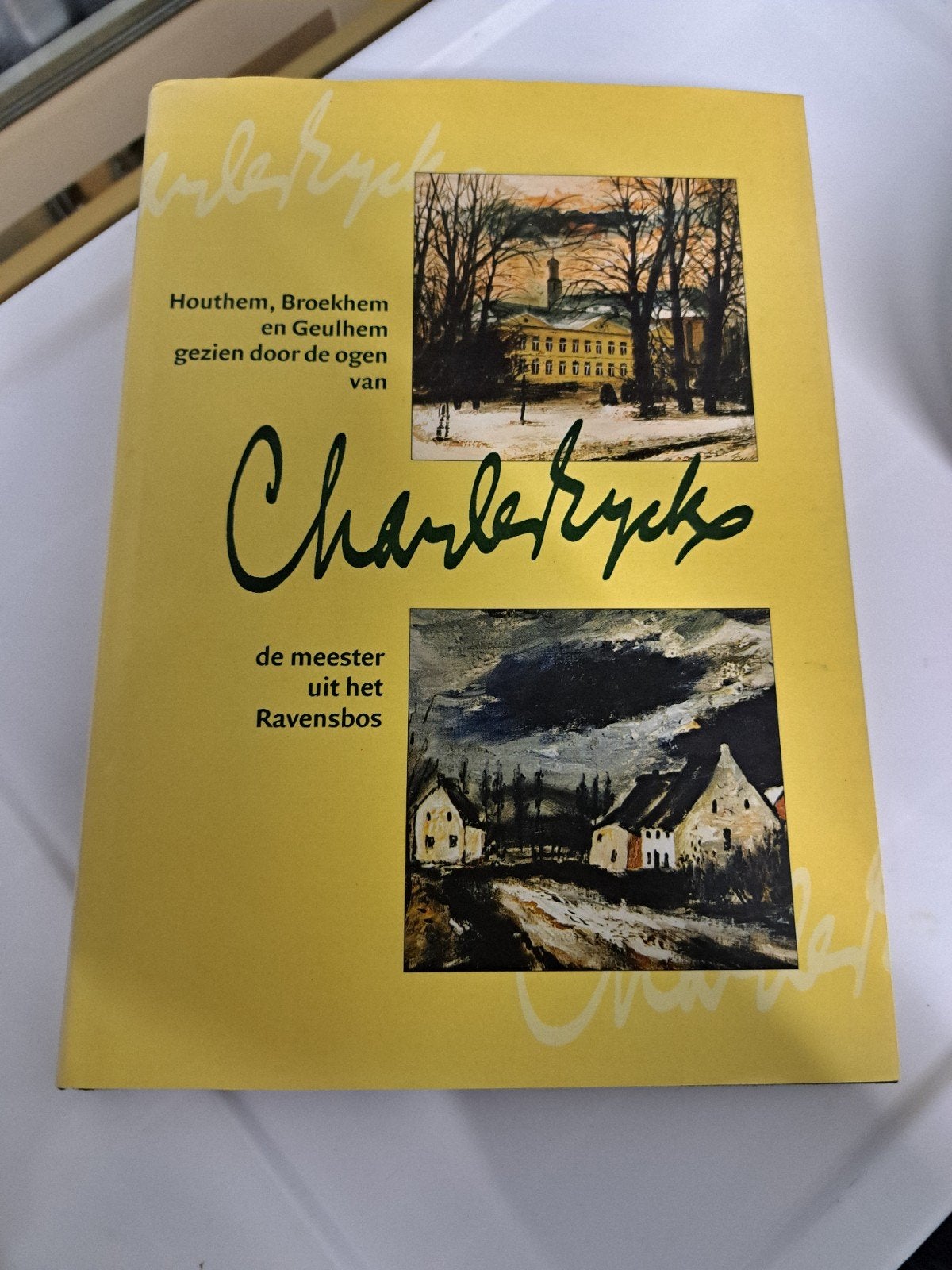 Charles eijck de meester uit het ravensbos, Boeken, Gelezen, Ophalen of Verzenden, N.b, Schilder- en Tekenkunst