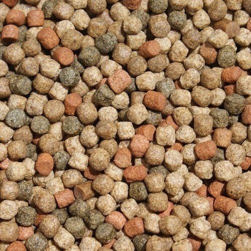 Koi Japanse Mix 15kg - Top kwaliteit Koivoer Alltech Coppens, Dieren en Toebehoren, Vissen | Vijvervissen, Karper of Koi