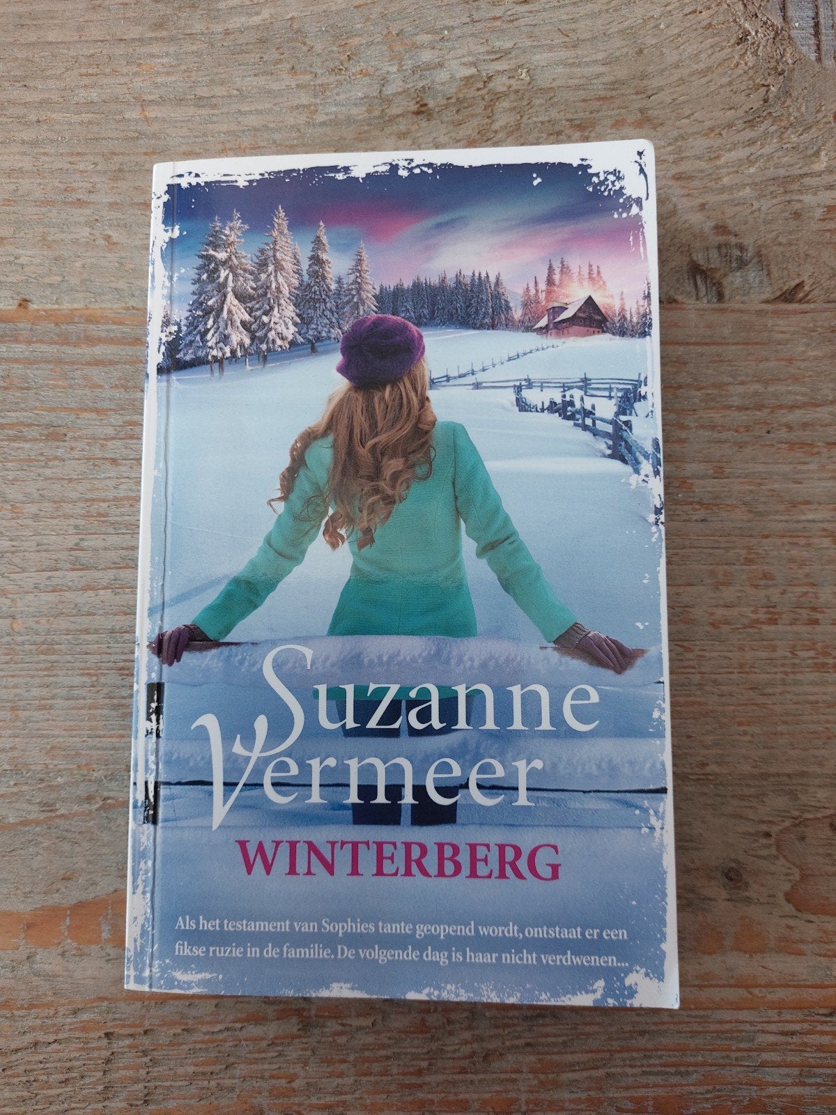 Suzanne Vermeer - Winterberg (Boek), Boeken, Thrillers, Ophalen of Verzenden, Zo goed als nieuw, Suzanne Vermeer, Nederland