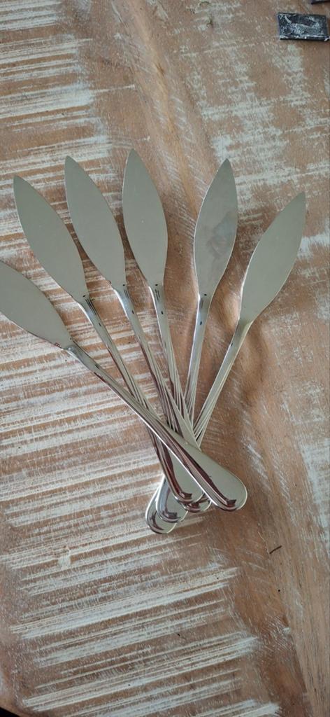 Set van 6   vismes Sola Karina vismessen, Huis en Inrichting, Keuken | Bestek, Nieuw, Ophalen of Verzenden, Rvs of Chroom, Vaatwasserbestendig