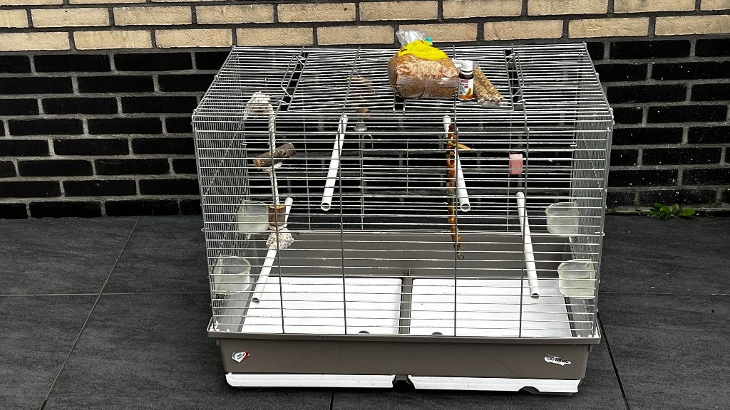 Bird cage, Geslacht onbekend, Parkiet