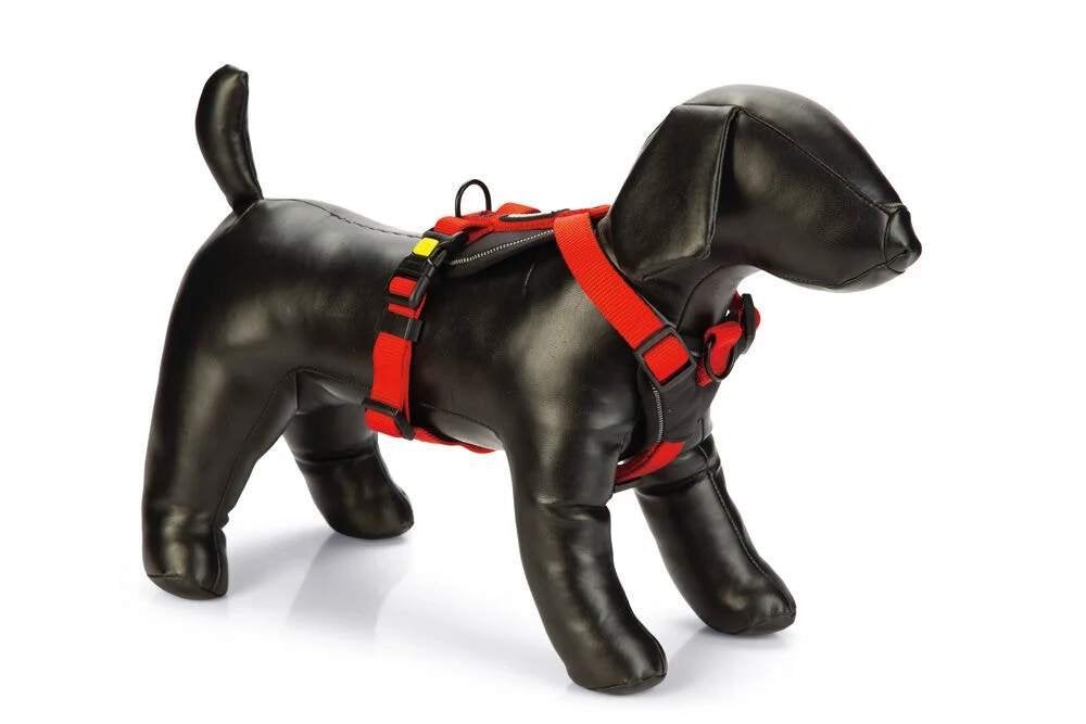 Beeztees Parinca Premium Y-Tuig - Rood - 38-48 cm, Ophalen of Verzenden, Zo goed als nieuw, Hondenriem-accessoire