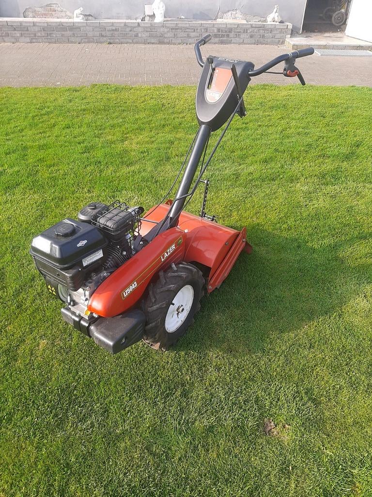 Tuinfrees Lazer, Ophalen