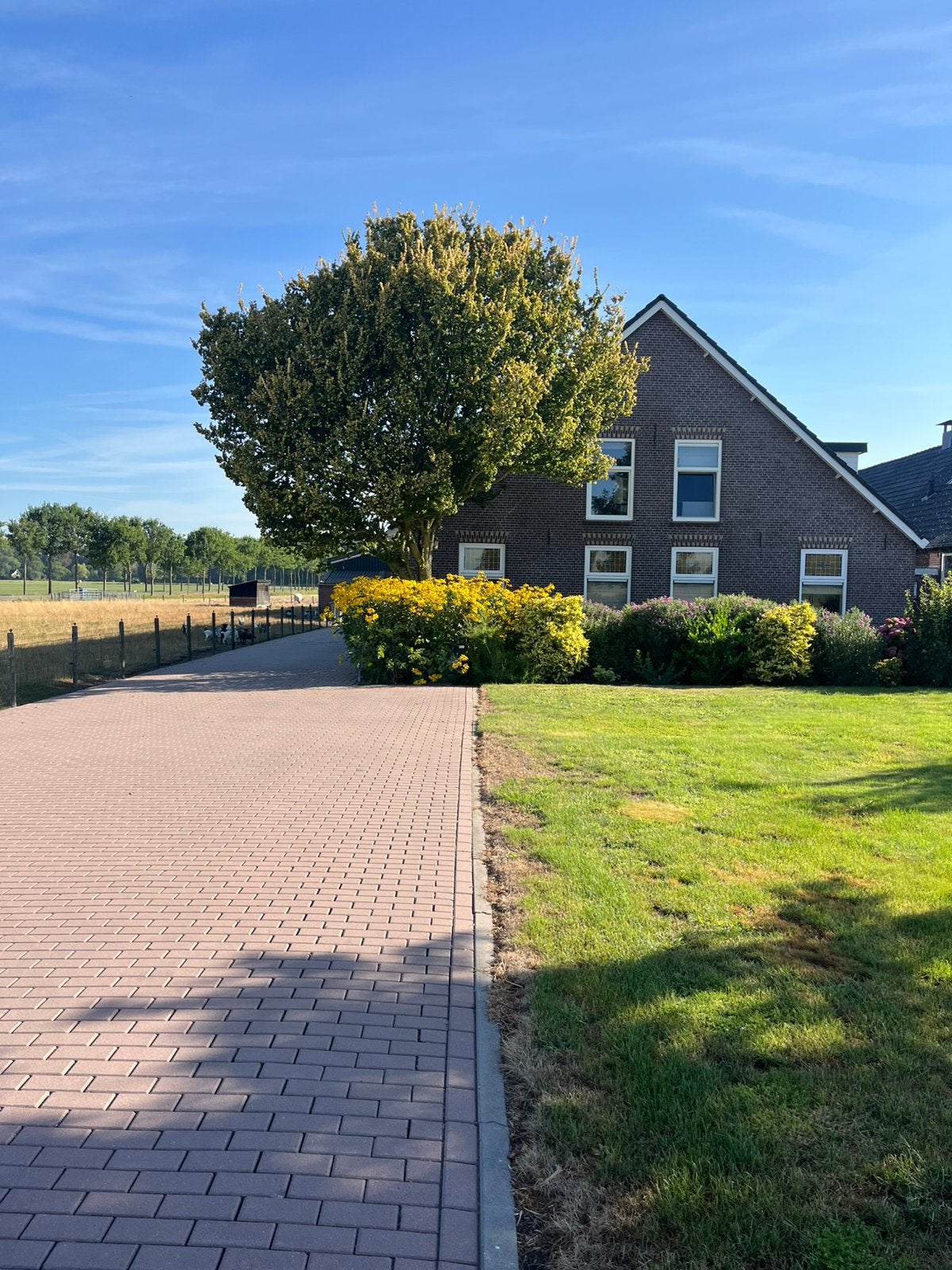 Kamer op het platteland te huur