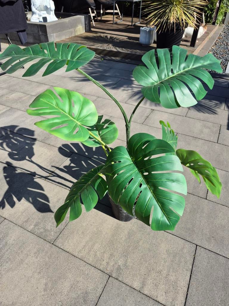 Kunstplant, Ophalen of Verzenden, Halfschaduw, Minder dan 100 cm