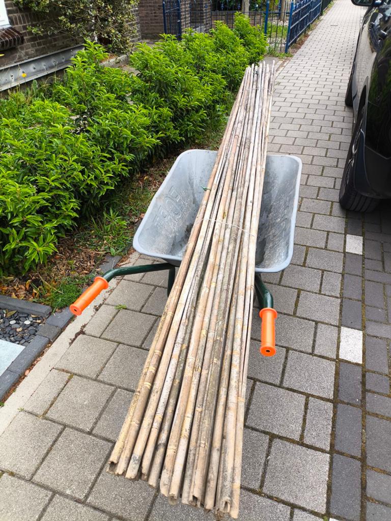 Gebruikte bamboe stokken - nog in prima staat, Tuin en Terras, Palen, Balken en Planken, Ophalen, Gebruikt, 250 cm of meer, Palen