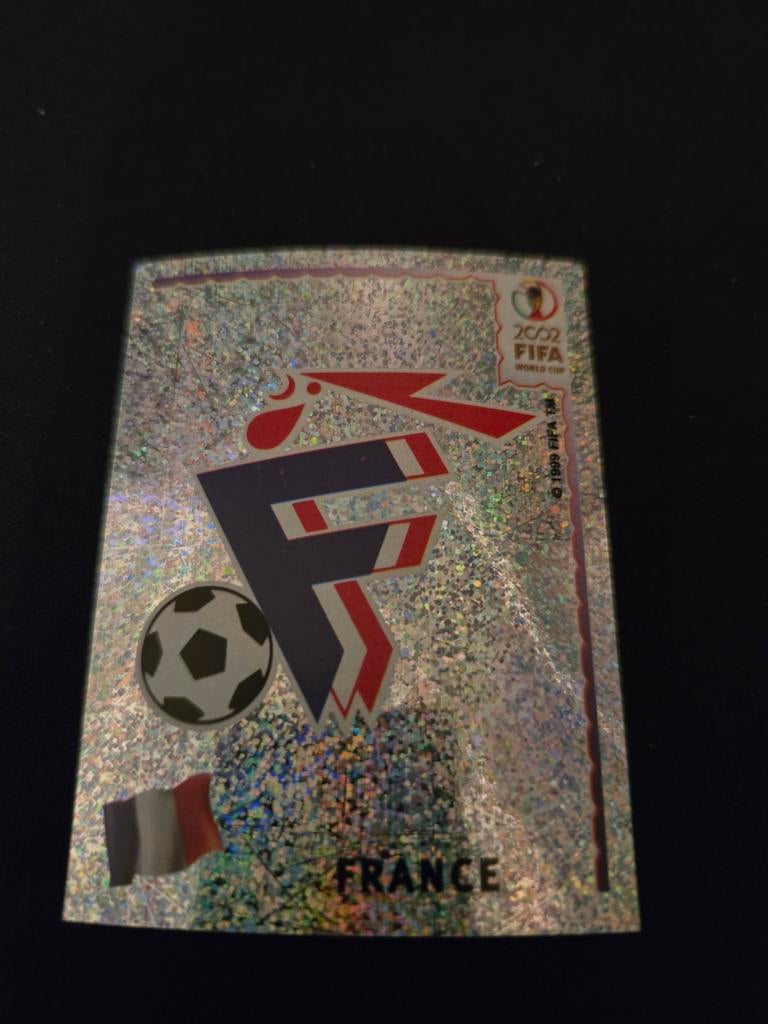 Panini Fifa world cup 2002, Ophalen of Verzenden, Zo goed als nieuw, Buitenlandse clubs, Poster, Plaatje of Sticker