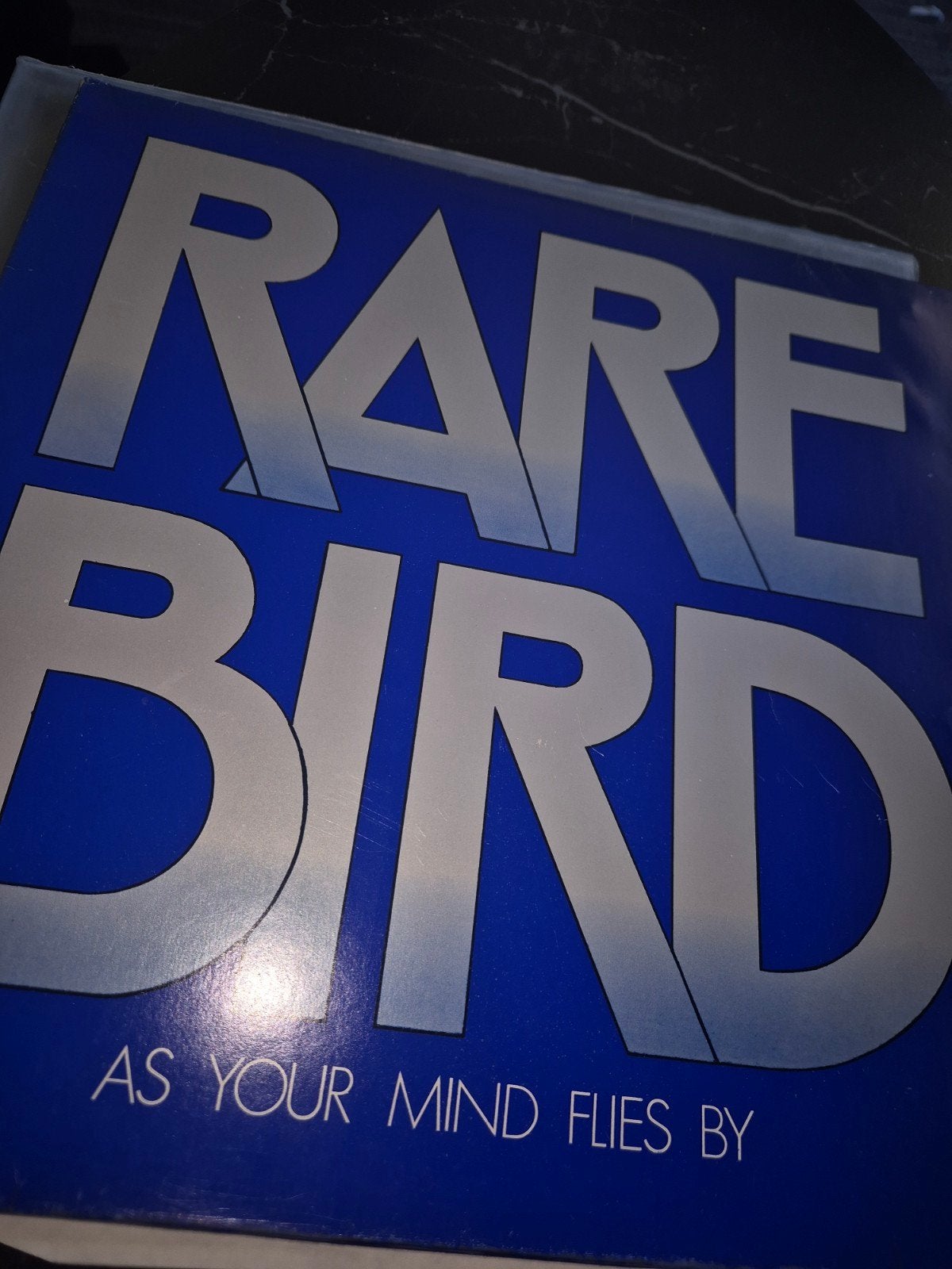 Rare Bird, Ophalen of Verzenden, Gebruikt, 12 inch, Poprock