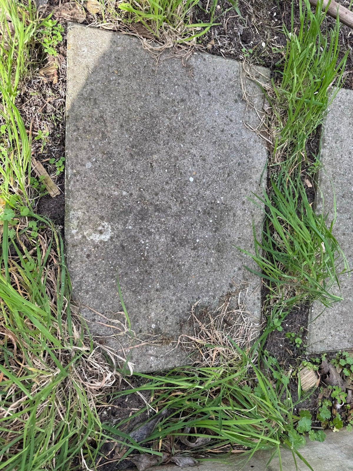Gebruikte betonnen tuintegels - Diverse afmetingen, Ophalen, Gebruikt, 10 m² of meer, Beton