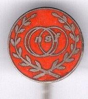 N.S.F. Ned. sport federatie oranje zilverkl speldje ( Z_097a, Verzenden, Nieuw, Sport, Speldje of Pin