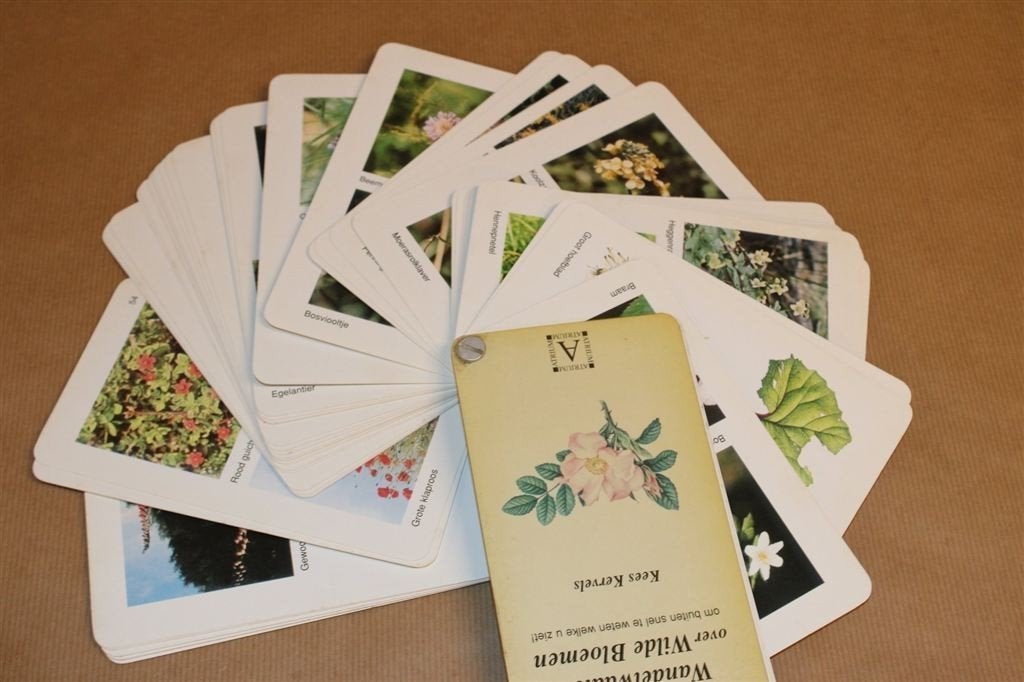 Handige Wandelwaaier — Wilde Bloemen — Kees Kervels, Ophalen of Verzenden, Gelezen, Bloemen, Planten en Bomen