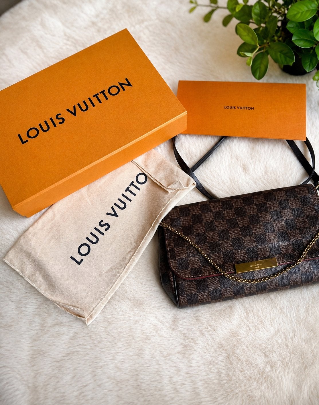 Louis Vuitton Favorite PM Damier Ebene Schoudertasje + bon, Ophalen of Verzenden, Zo goed als nieuw, Bruin, Schoudertasje