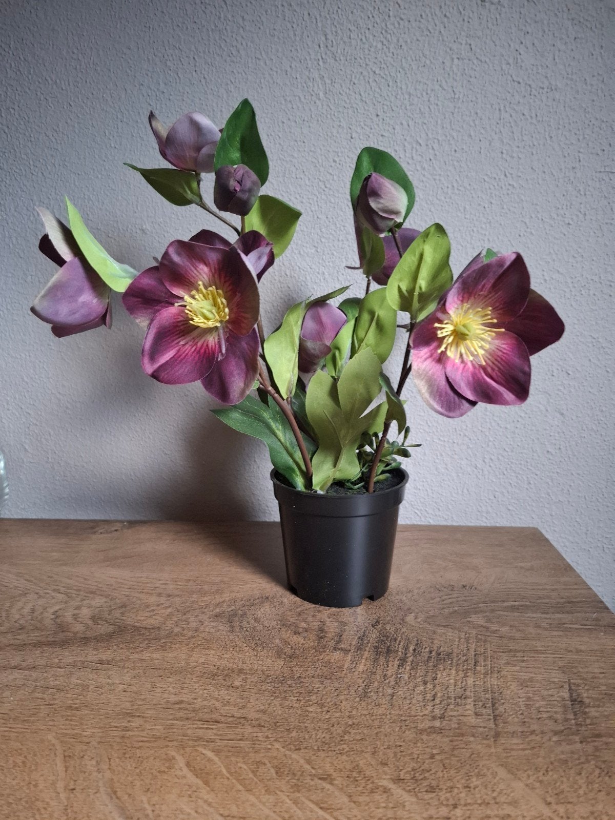 Kunstplant Helleborus in pot - Paars/Groen, Binnen, Onderhoudsvrij, Kunstplant, Ophalen of Verzenden