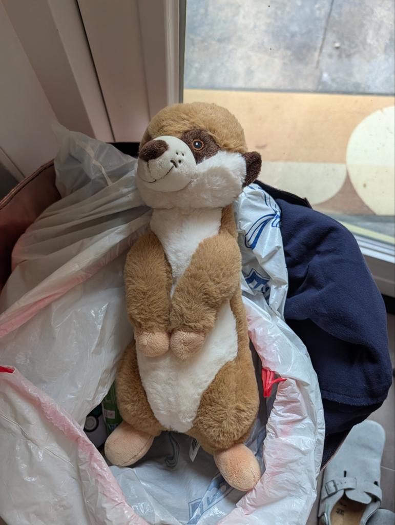 Leuke Stokstaartje Knuffel - Zo goed als nieuw, Overige merken, Overige karakters, Overige typen, Ophalen of Verzenden