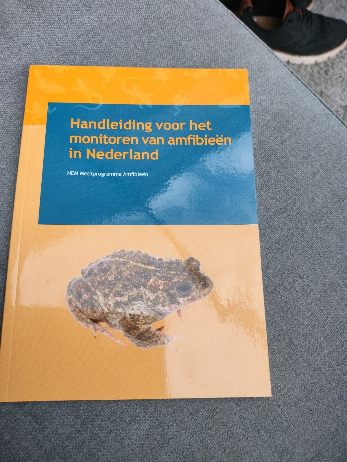 Handleiding monitoren amfibieën in Nederland, Ophalen of Verzenden, Zo goed als nieuw, Overige onderwerpen, NEM Meetprogramma Amfibieën