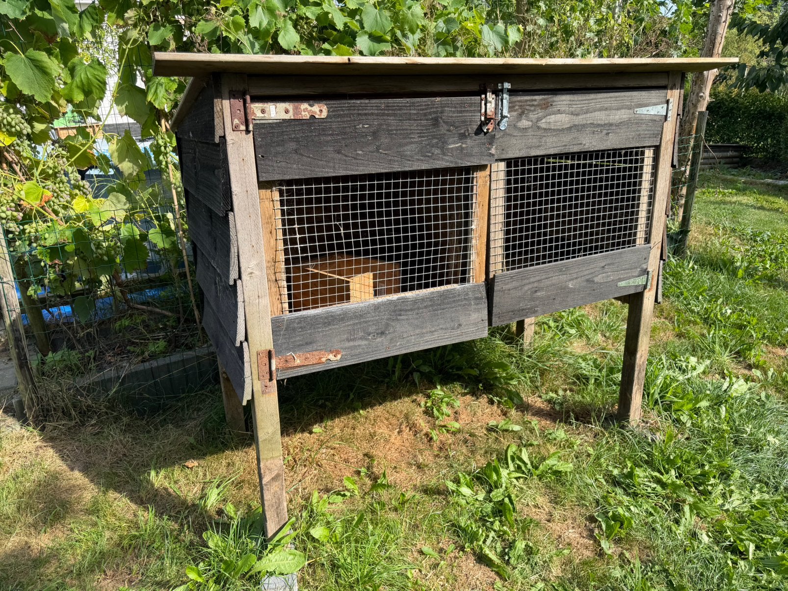 Konijnen hok, Dieren en Toebehoren, Ophalen, 110 cm of meer, Zo goed als nieuw, 90 cm of meer