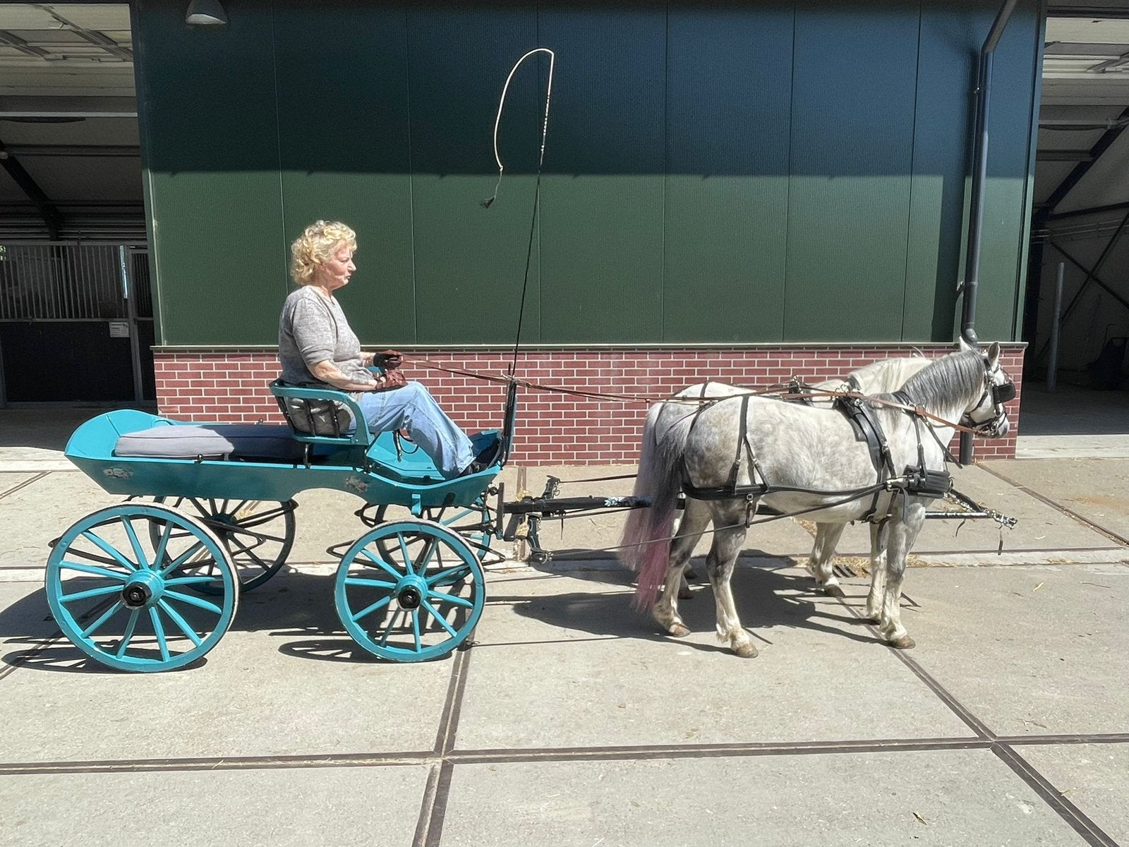Antieke Pony koets/rijtuig/boodschappen wagentje/ marktwagen, Dieren en Toebehoren, Rijtuigen en Koetsen, Marathonwagen