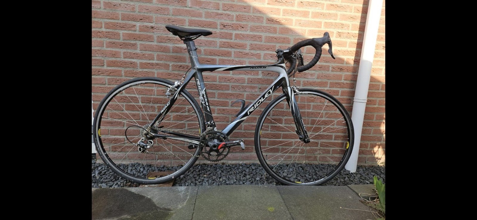 Ridley Noah Carbon racefiets - Campagnola Chorus 2x10, 28 inch, Gebruikt, Carbon, Velgrem