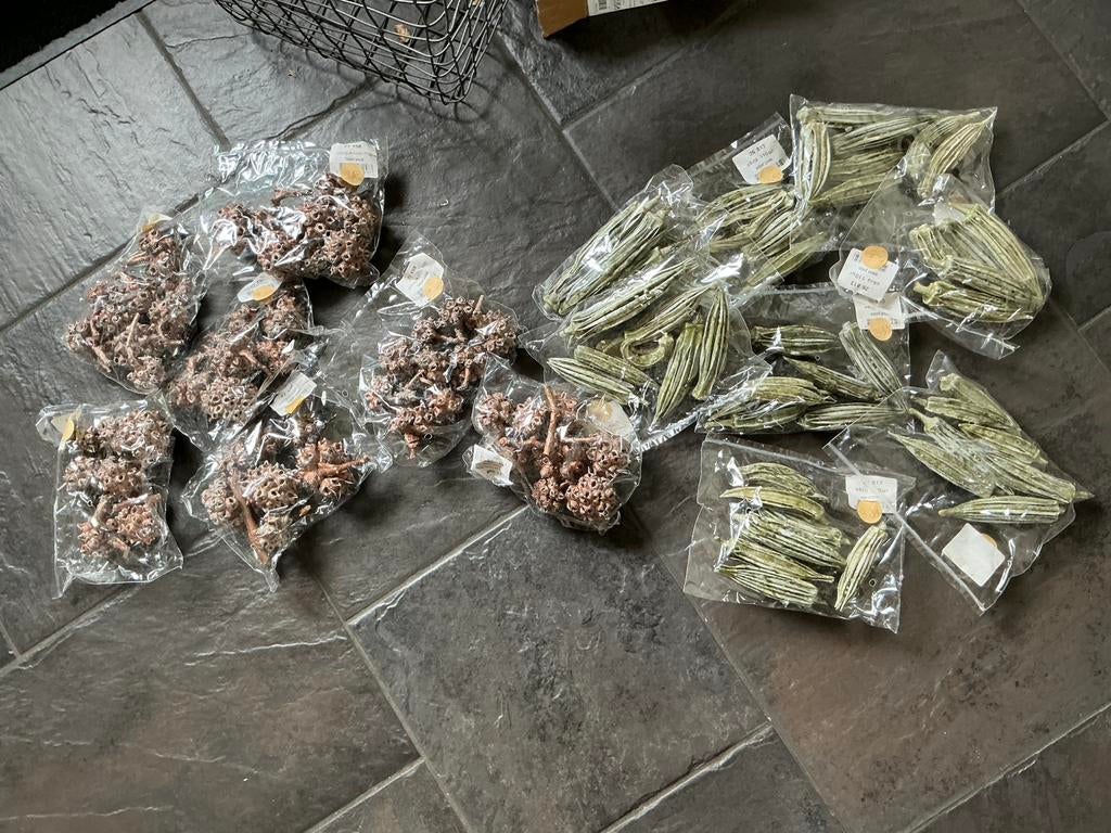 NIEUW PARTIJ MET GEDROOGDE SPIDER KNOBS EN OKRA FRUIT, Ophalen of Verzenden, Nieuw