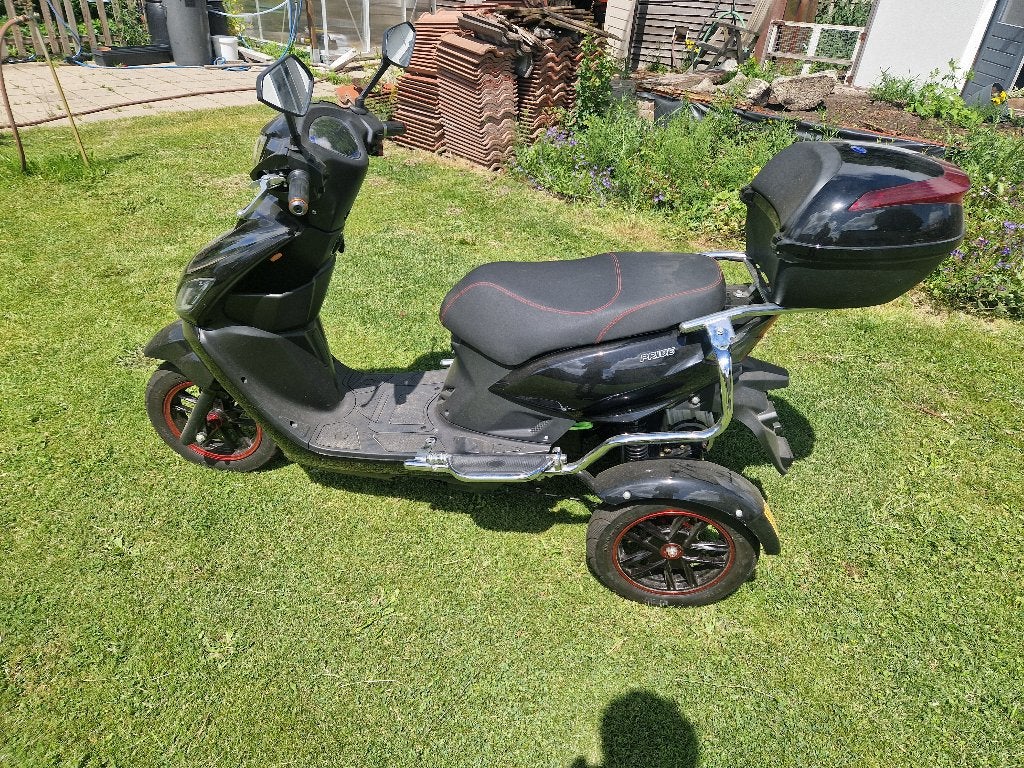 Nipponia pride driewieler Tekoop, Zo goed als nieuw, 59 cm of meer, 50 km per accu of meer, Ophalen