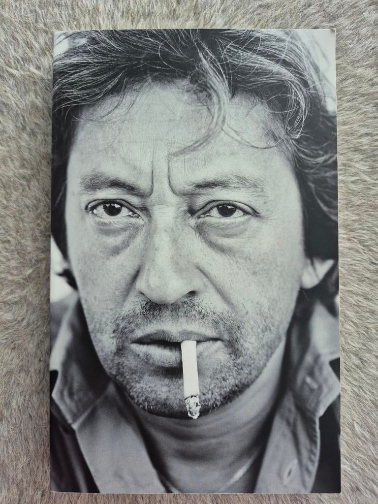 Serge Gainsbourg | Sylvie Simmons | biografie | muziekboek, Sylvie Simmons, Artiest, Ophalen of Verzenden, Zo goed als nieuw