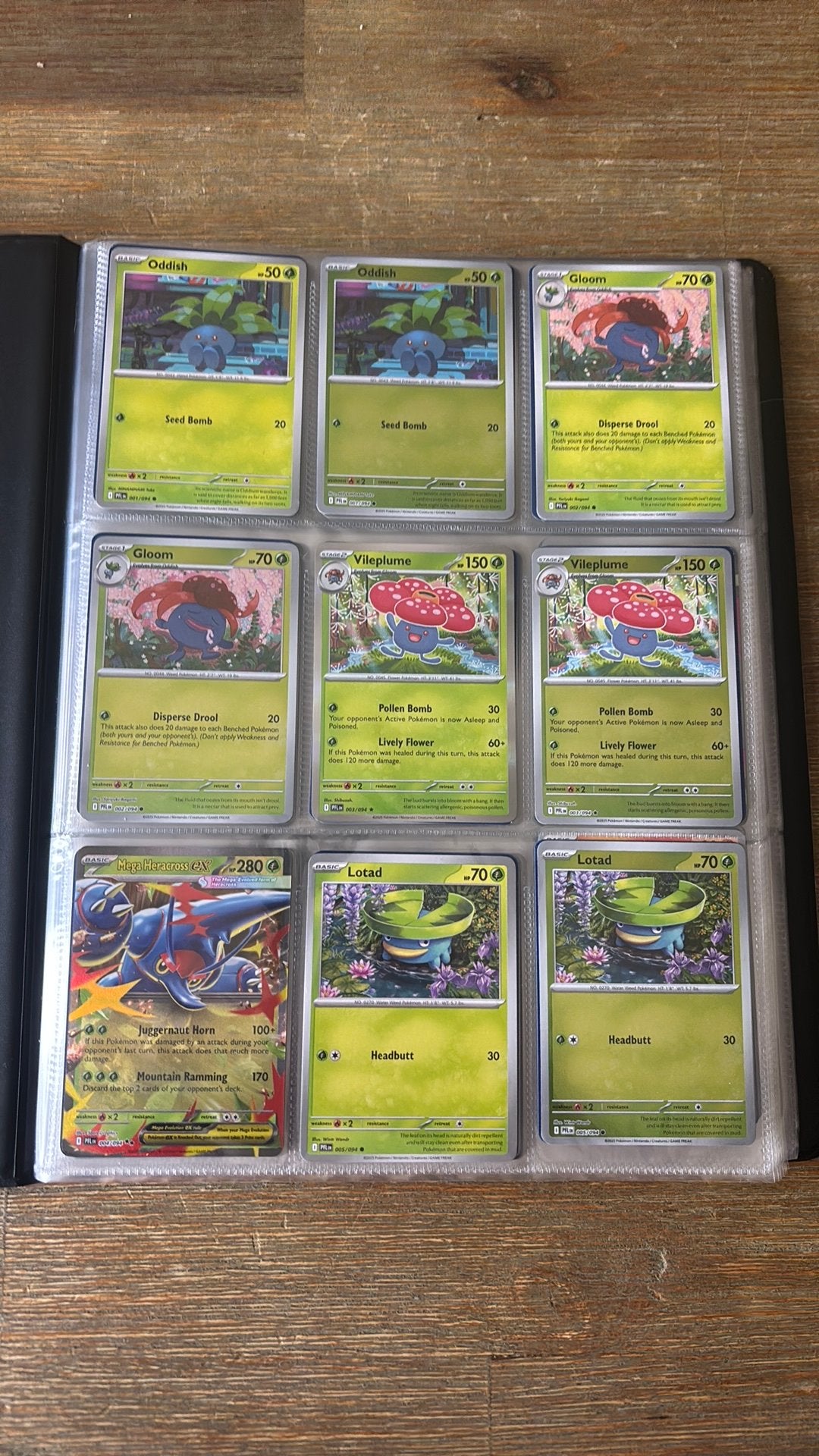 Base Set Phantasmal Flames incl Binder, Ophalen of Verzenden, Zo goed als nieuw, Meerdere kaarten