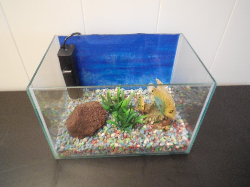 starters/beginners/kinder aquarium met toebehoren, Dieren en Toebehoren, Vissen | Aquaria en Toebehoren, Ophalen, Zo goed als nieuw