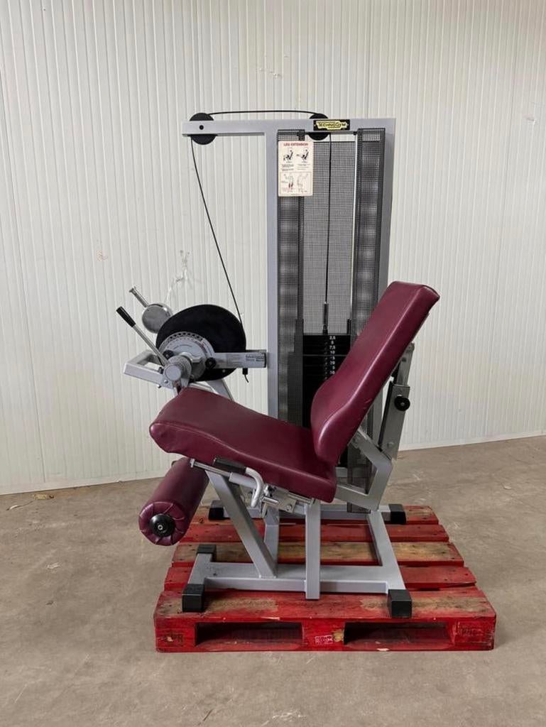 Technogym Rehabilitation Leg extension / Beinstrecker, Ophalen, Benen, Gebruikt, -