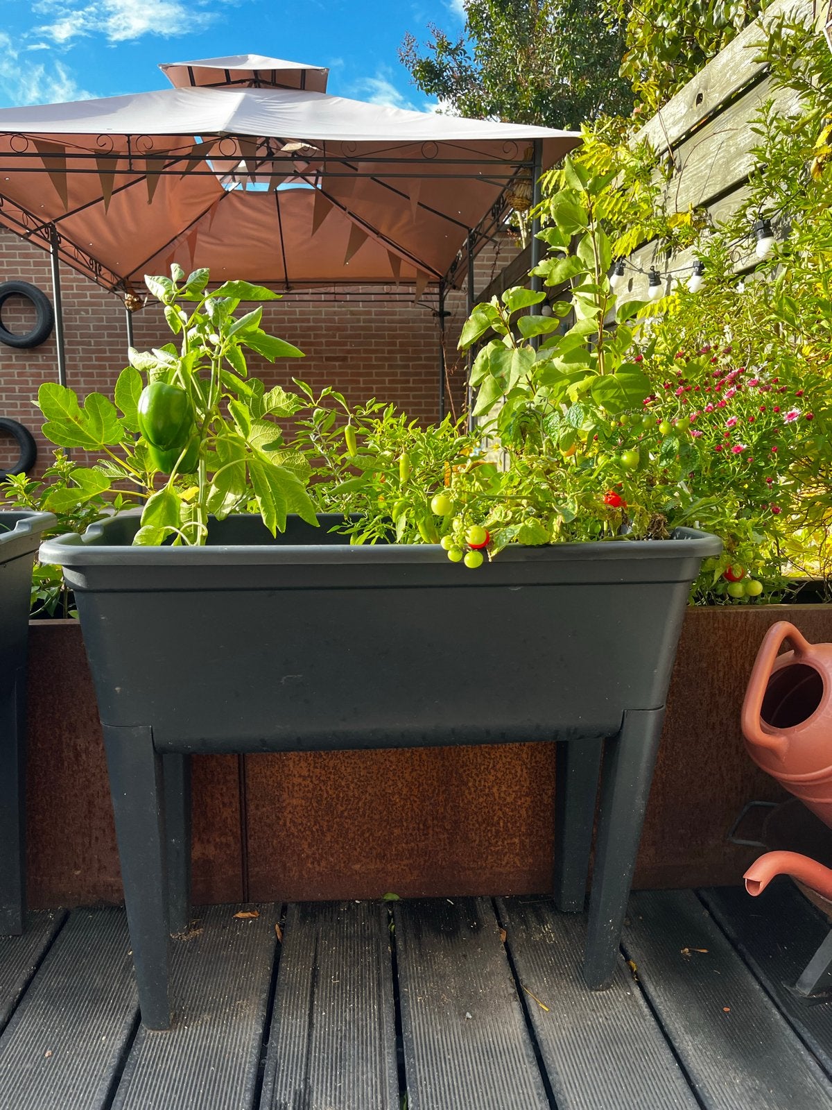 Zwarte kweekbak, plantenbak, moestuinbak op poten, Ophalen, Kunststof, Zo goed als nieuw, Binnen