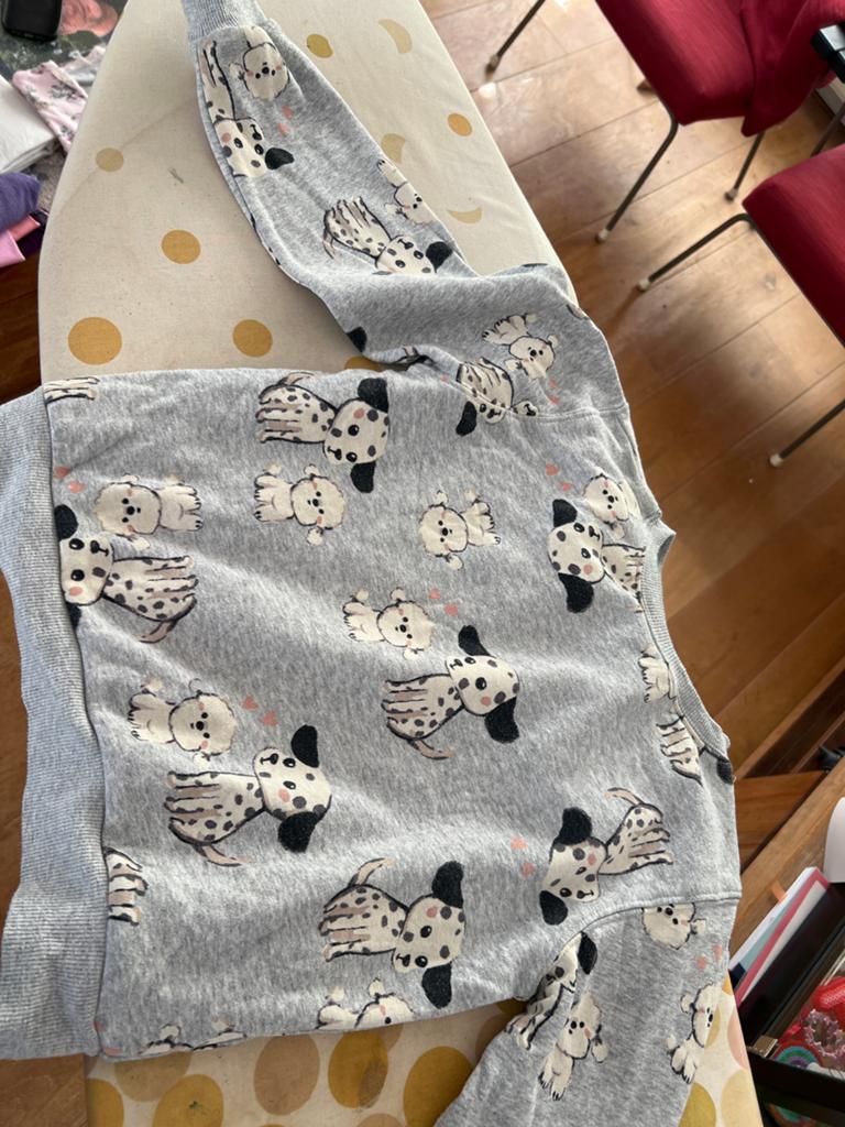 H&M sweater met dalmatiërs. Maat 122-128, Kinderen en Baby's, Kinderkleding | Maat 122, Ophalen of Verzenden, Zo goed als nieuw