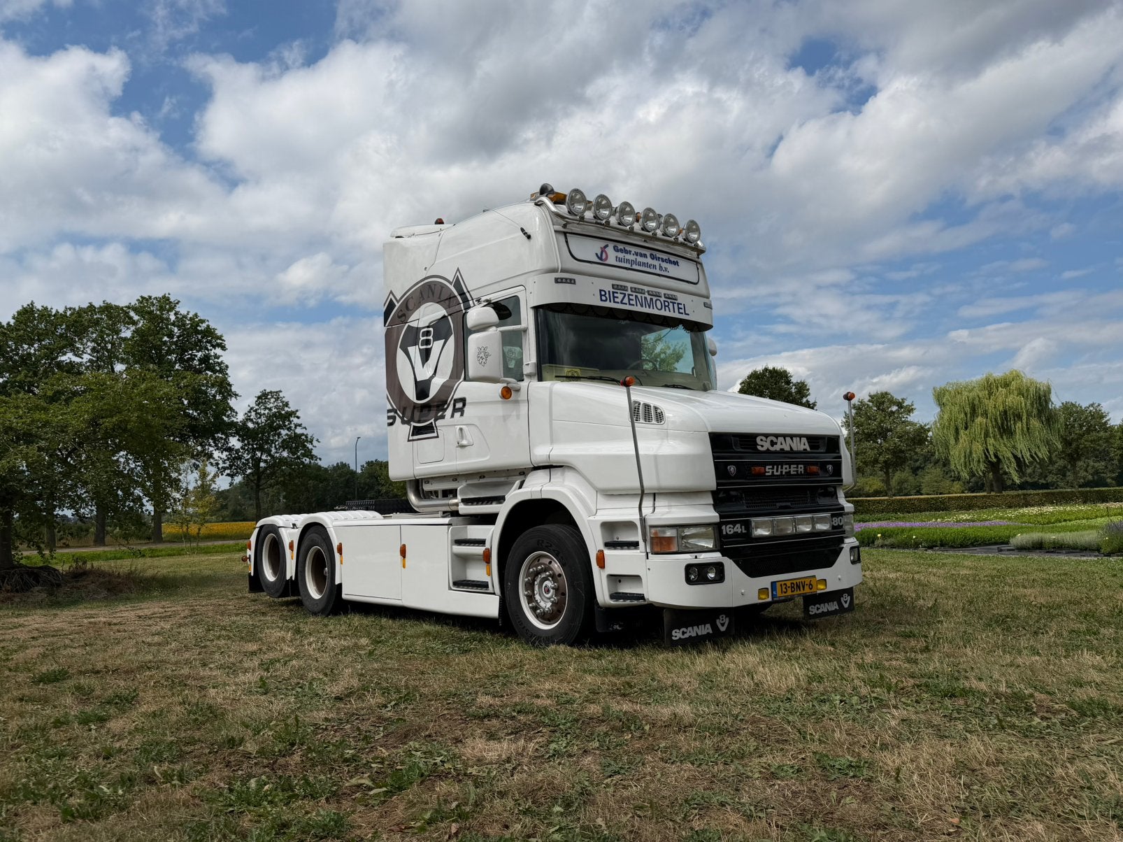 Scania T 164-480, Torpedo, V8, Scania, Bedrijf, 480 pk, Te koop
