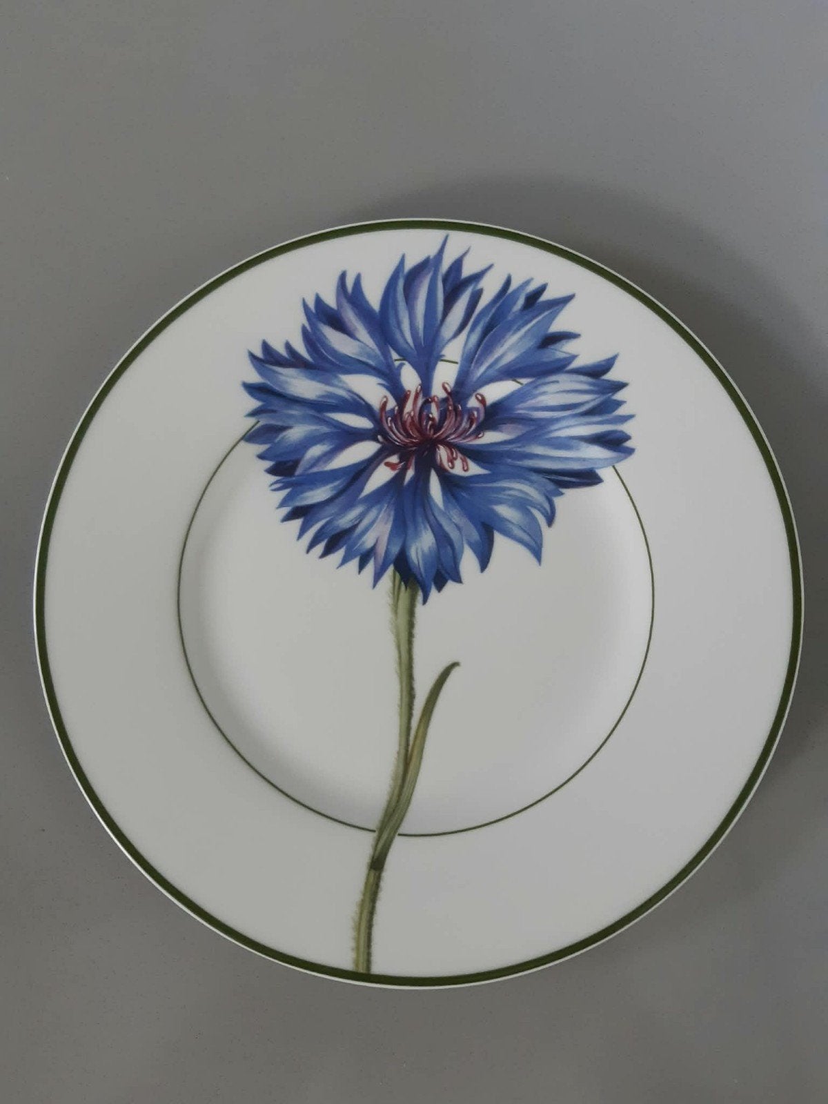 Ontbijtbord Villeroy en Boch Flora, Nieuw, Ophalen of Verzenden, Bord(en), Overige stijlen
