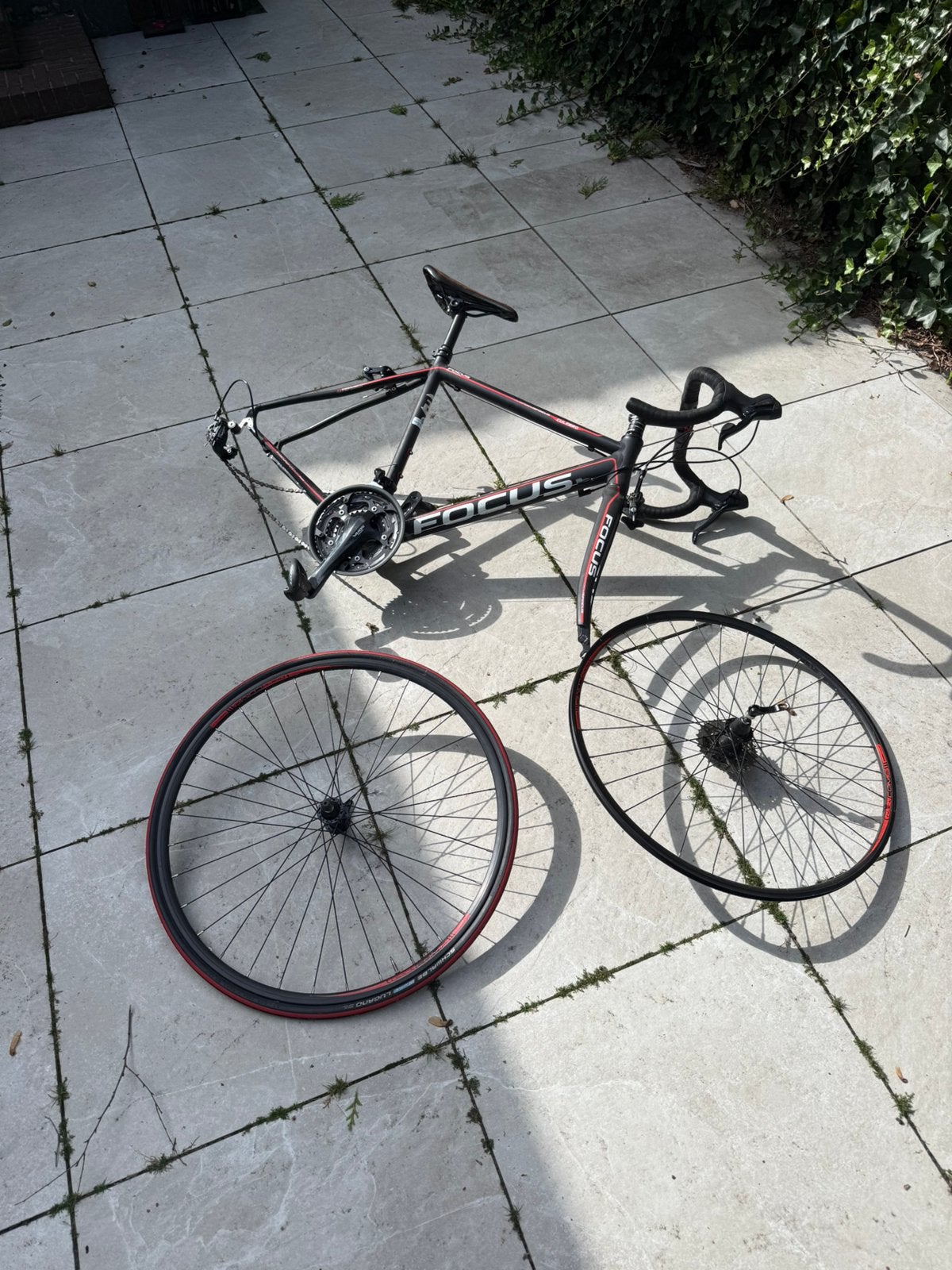 Focus RACEFIETS, carbon voorvork. Topstaat, Zo goed als nieuw, Meer dan 20 versnellingen, 53 tot 57 cm, Ophalen